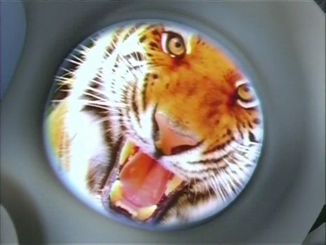 Sheen's Eye of the Tiger